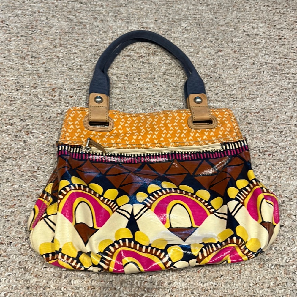 Fossil multicolor purse